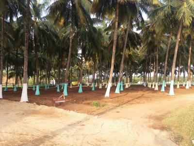 Residential Plot