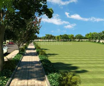 Residential Plot