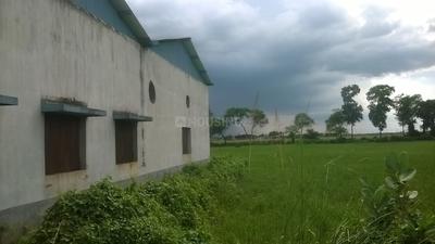 Gallery Cover Image of Sq.ft Residential Plot for buy in New Alipore for 60000000