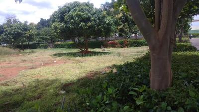 Gallery Cover Image of Sq.ft Residential Plot for buy in Jigani for 1980000