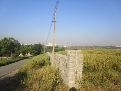 Gallery Cover Image of Sq.ft Residential Plot for buy in Wagholi for 42500000