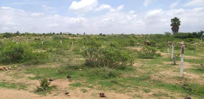 Gallery Cover Image of Sq.ft Residential Plot for buy in Pasumamula for 3120000