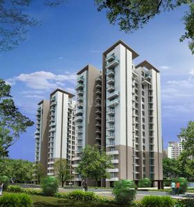 4 BHK Apartment