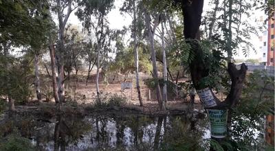 Residential Plot