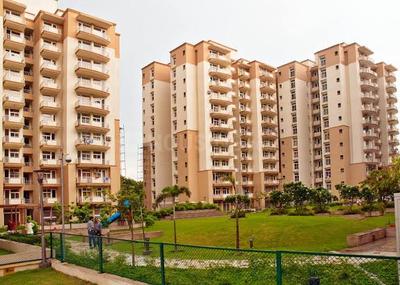 3 BHK Apartment