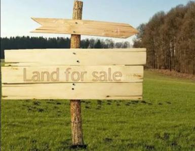 Residential Plot