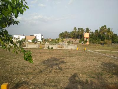 Residential Plot