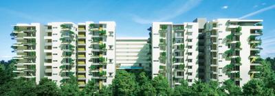 3 BHK Flat