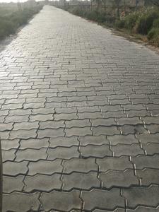 Gallery Cover Image of Sq.ft Residential Plot for buy in Naubasta for 700000