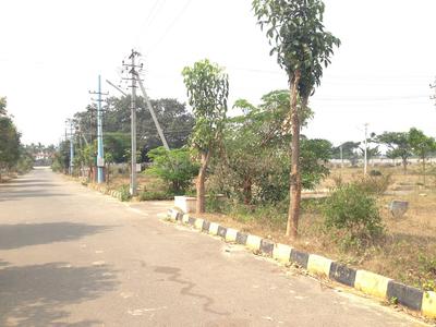 Residential Plot