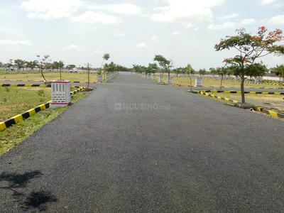Residential Plot