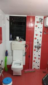 Common Bathroom Image of PG 4993911 Andheri West in Andheri West