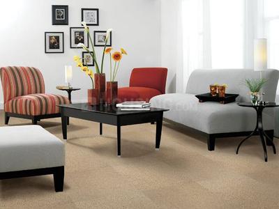 Gallery Cover Image of 400 Sq.ft 1 RK Apartment for buy in Kaliwali for 1553500