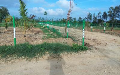 10005 Sq.ft Residential Plot for Sale in Madurantakam, Chennai
