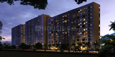 3 BHK Apartment