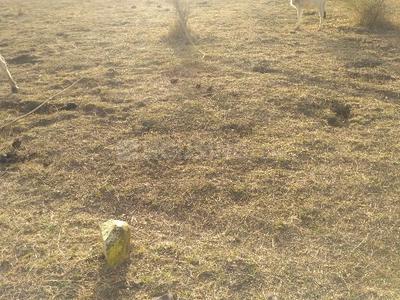 Residential Plot