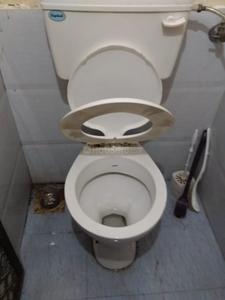 Common Bathroom Image of PG 5157320 Vasai West in Vasai West