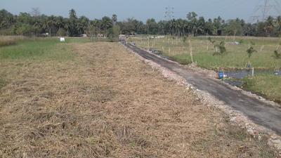 Residential Plot