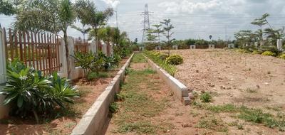 Gallery Cover Image of Sq.ft Residential Plot for buy in Edulabad for 3300000