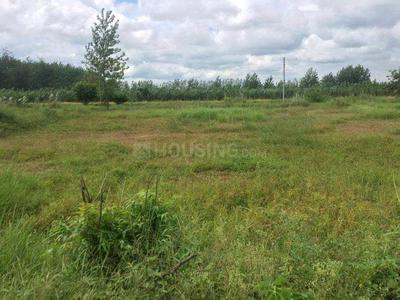Gallery Cover Image of Sq.ft Residential Plot for buy in Simla Bahadur for 550000