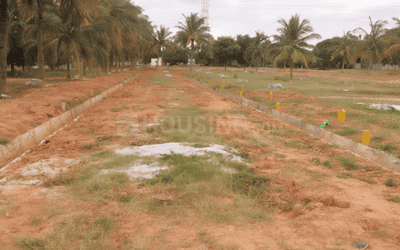Residential Plot