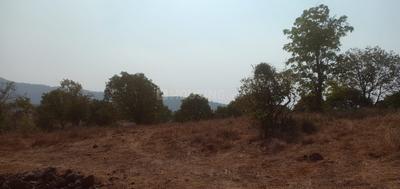 Gallery Cover Image of Sq.ft Residential Plot for buy in Laxminagar for 2000000