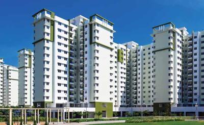 3 BHK Apartment