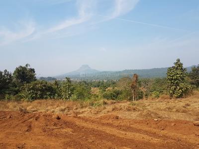 Residential Plot