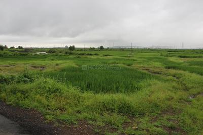 Residential Plot