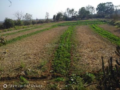 Residential Plot