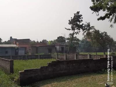 Gallery Cover Image of Sq.ft Residential Plot for buy in Kalagachhia for 2300000