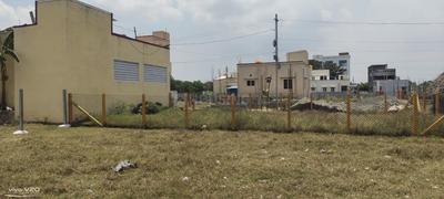 Residential Plot