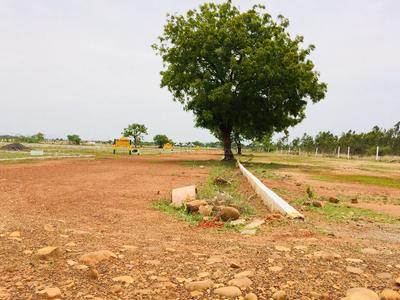 Gallery Cover Image of Sq.ft Residential Plot for buy in Thirunindravur for 724500