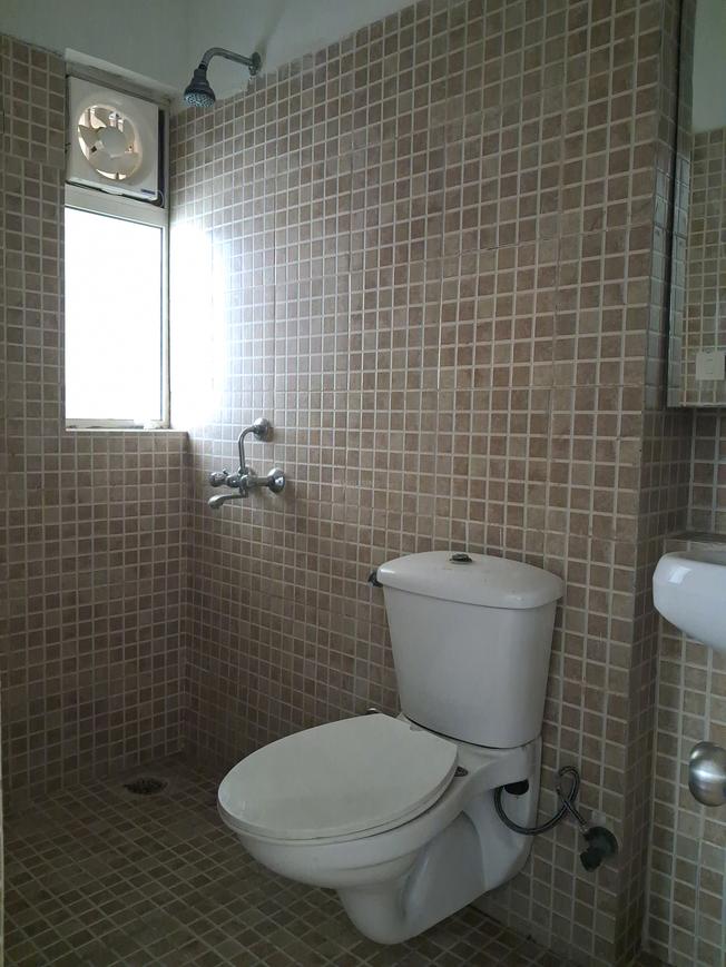 Paras Tierea - Image 12