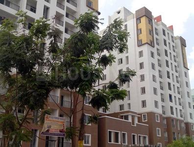 3 BHK Apartment