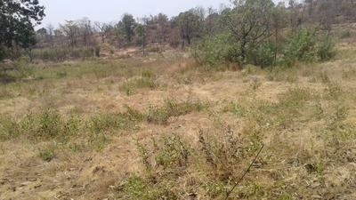 Residential Plot