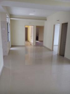 3 BHK Apartment