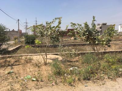 Residential Plot