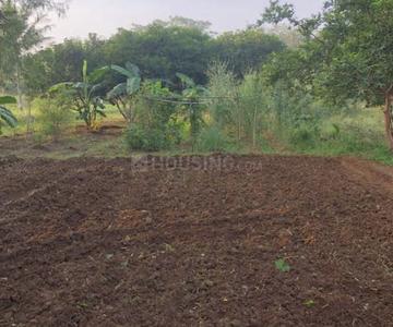 650 Sq.ft Residential Plot for Sale in Veshvi, Alibag