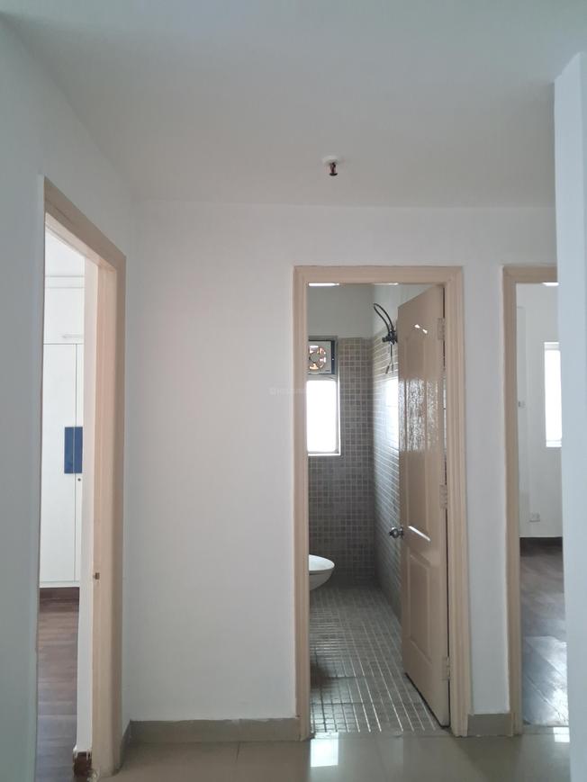 Paras Tierea - Image 23