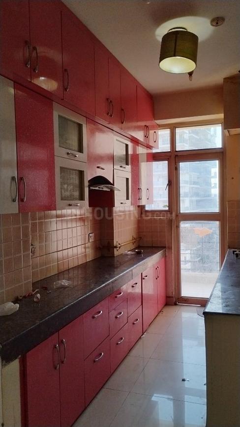 Ajnara Gen X - Image 17