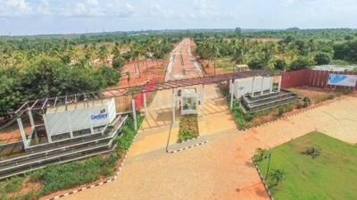 Residential Plot
