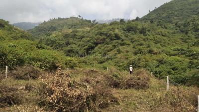 Gallery Cover Image of Sq.ft Residential Plot for buy in Bhagwant Pur for 20000000