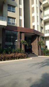 Gallery Cover Image of 1500 Sq.ft 3 BHK Apartment for rent in Bibwewadi for 37000