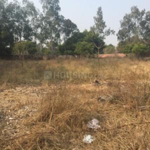 Residential Plot