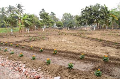 Residential Plot