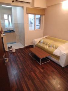 1 RK Apartment