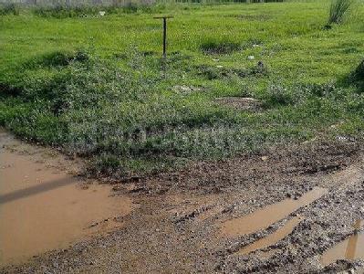 Gallery Cover Image of Sq.ft Residential Plot for buy in Sector 9 for 14570500
