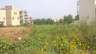 Residential Plot
