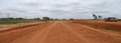 Residential Plot